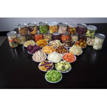 Mixed Vegetable & Fruit Chips with High Quality